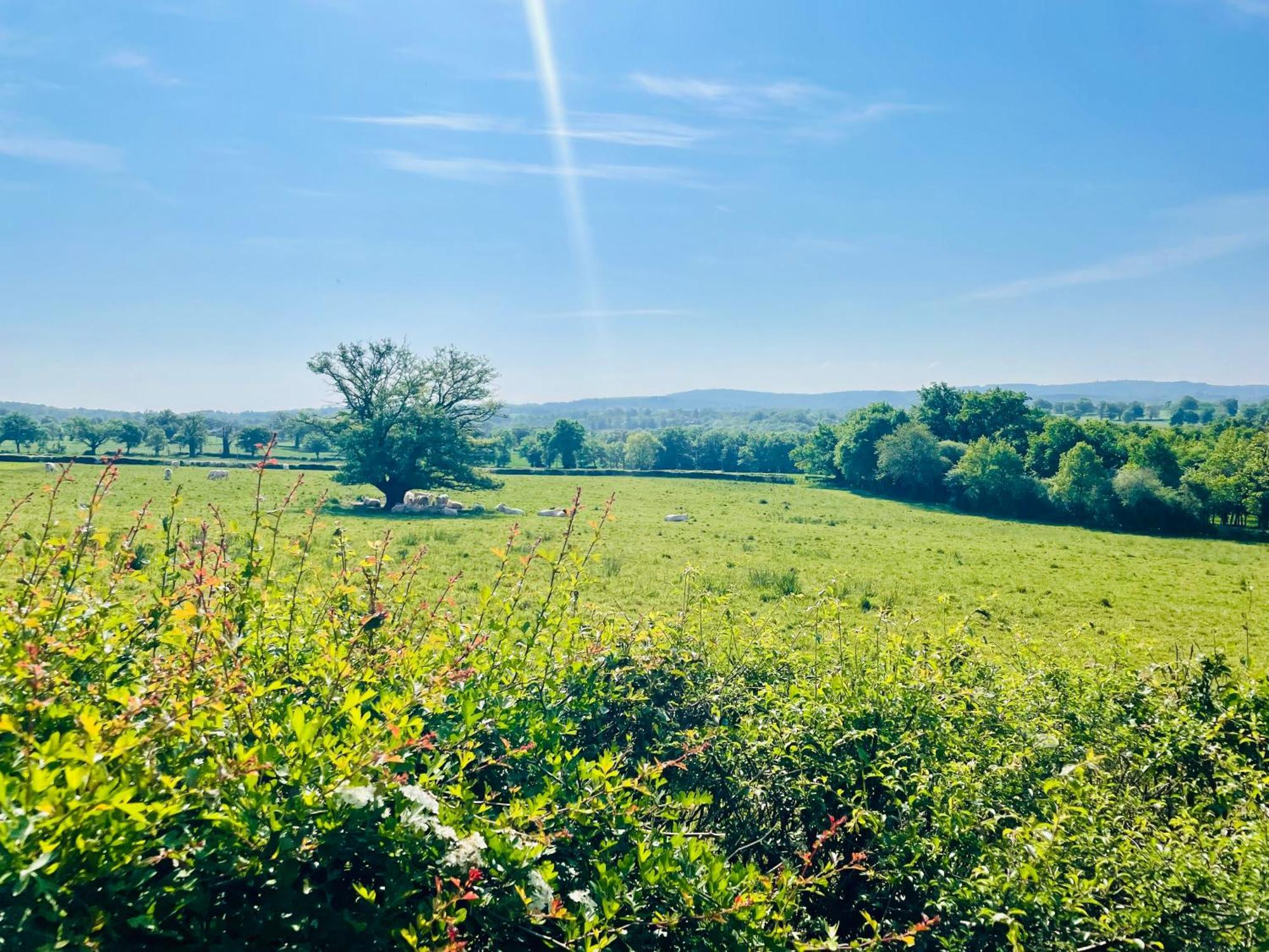 Domaine Le Rianon Villa Malleret-Boussac Eksteriør billede